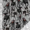 Doglove (harmaa) joustocollege