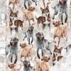 Doglove (vaalea hiekka) joustocollege