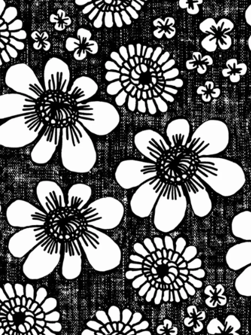 HAAVEILUmekko (Kedolla kerran musta / valkoinen joustocollege)