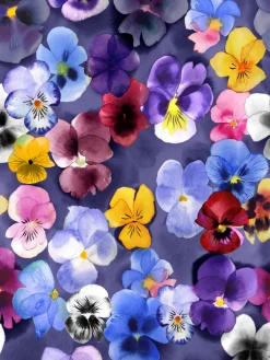 OLIVIAmekko (Orvokki violetti trikoo)